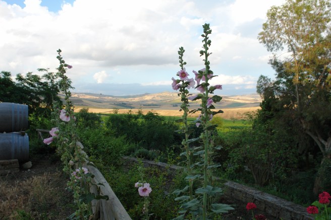 hollyhock+hills