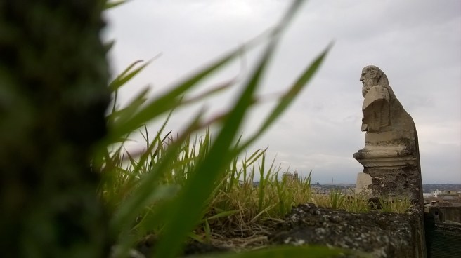 wp_20161030_12_29_56_pro