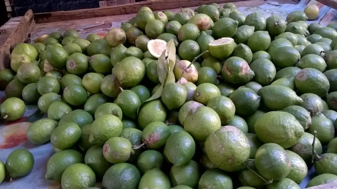 wp_20161031_08_53_00_pro