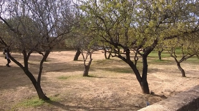 wp_20161106_10_36_15_pro