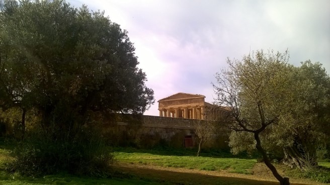 wp_20161106_10_58_51_pro