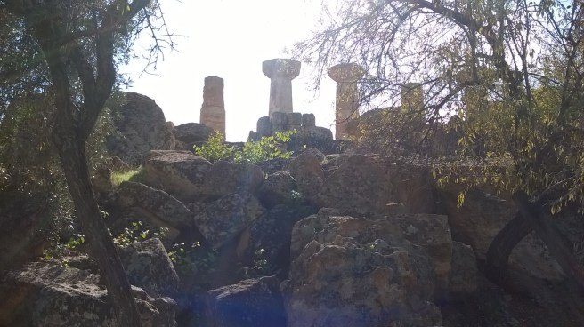 wp_20161106_12_11_29_pro